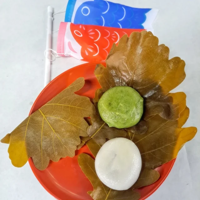 .
本日から‘’かしわ餅”の販売を開始いたしました🎏
白いお餅がこしあん、草餅が粒あんとなっております。
近日中に味噌あんも発売予定です！

 #藤宮製菓
 #岩槻